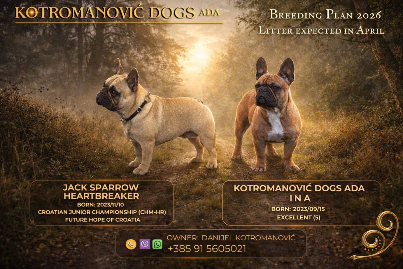 viber_slika_2026-03-28_14-14-47-649