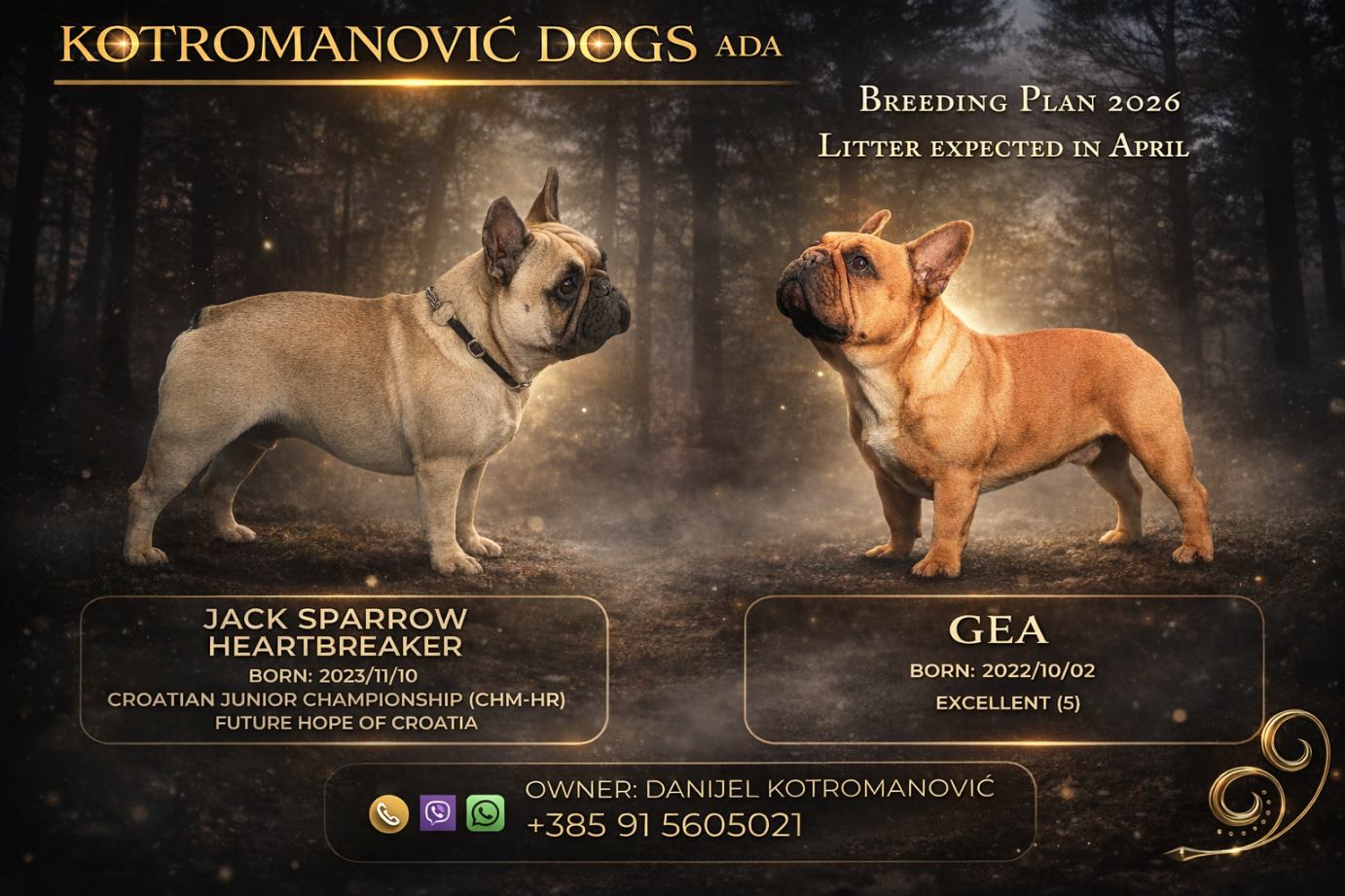 viber_slika_2026-03-28_14-14-47-719