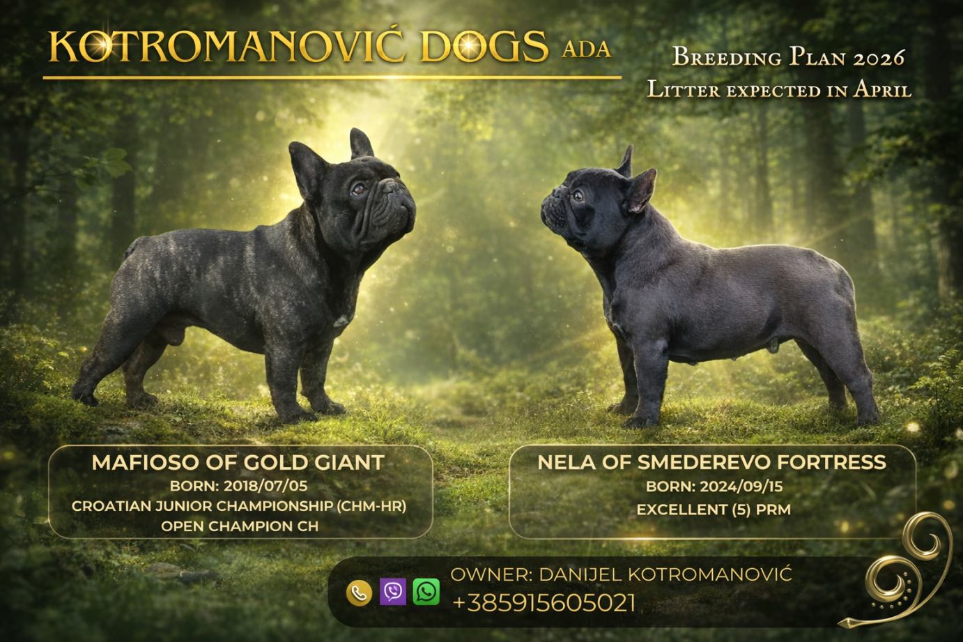 viber_slika_2026-03-28_14-14-47-847